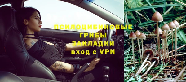 крисы Магас