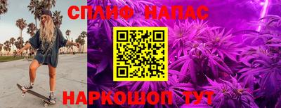 стафф Гагарин