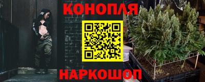 прущие грибы Гатчина