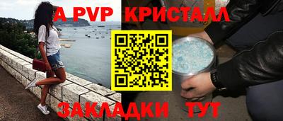 прущие грибы Гатчина