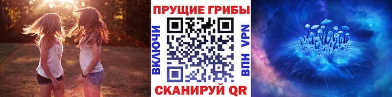 Псилоцибиновые грибы Psilocybine cubensis  Аксай 