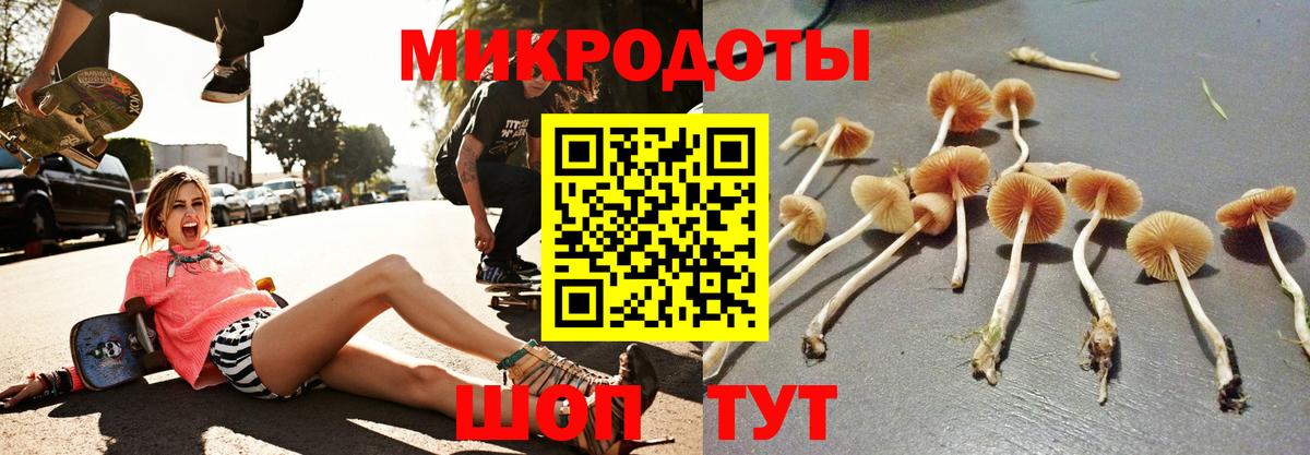 Псилоцибиновые грибы MAGIC MUSHROOMS Аксай